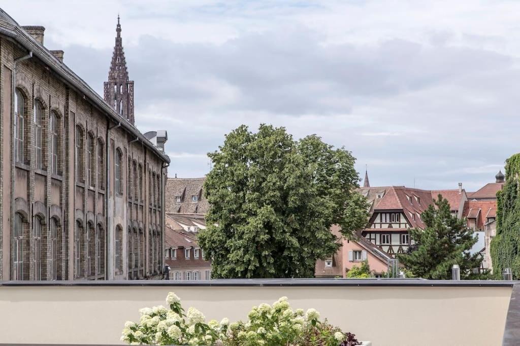 L'Academie - Magnifique 3 Chambres Krutenau Avec Parking Strasburgo Esterno foto